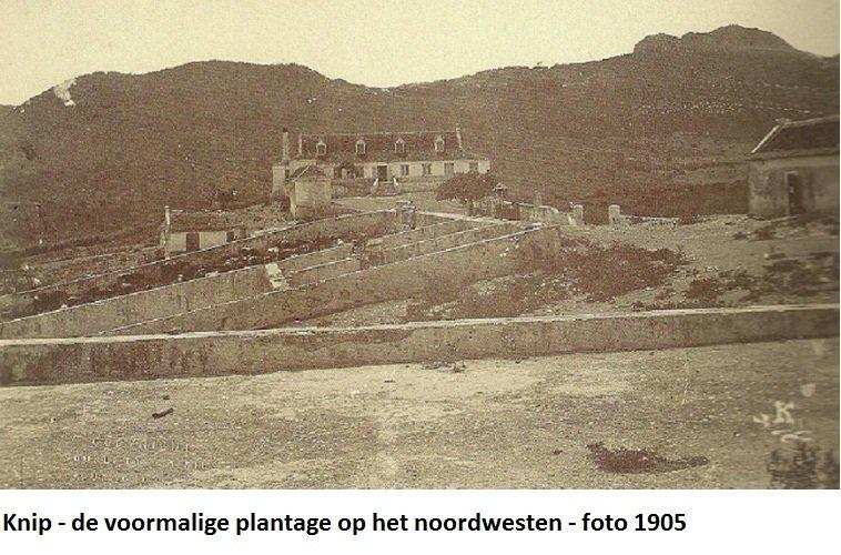 03. Knip voormalige plantage op het noordwesten 1905